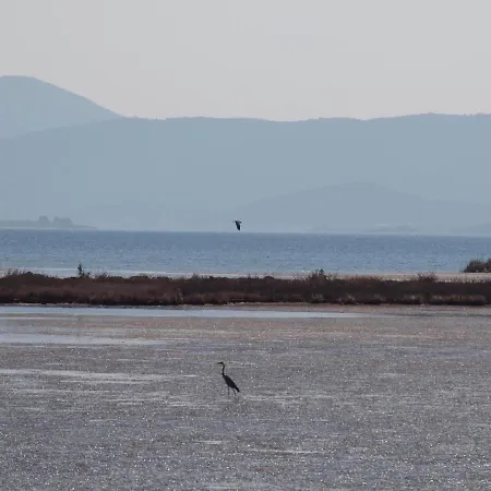 Daire Apartman&studio S